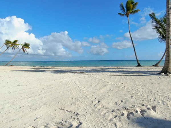 Décrypter les Secrets des Classifications d'Annonces sur Airbnb : Guide Complet et Intuitif