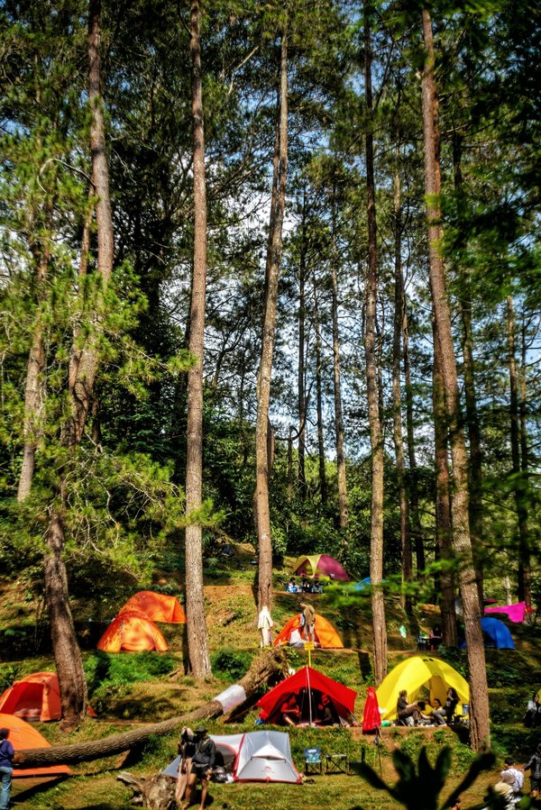 Camping à port grimaud : un séjour ressourçant au domaine !